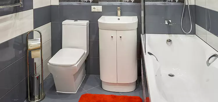 Hansgrohe Shaving Mirror Terre Haute